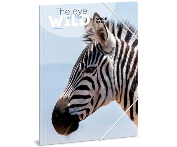 Ars Una: Máté Bence The Eyes of the Wild - Zebra A/4 priečinok na dokumenty a gumičkou