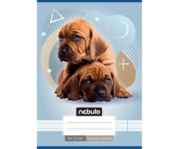 Nebulo: Dva psy vzor 4. ročník linajkový zošit A/5 21-32