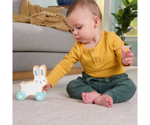 Fisher-Price: Fa tili-toli nyuszi - Mattel