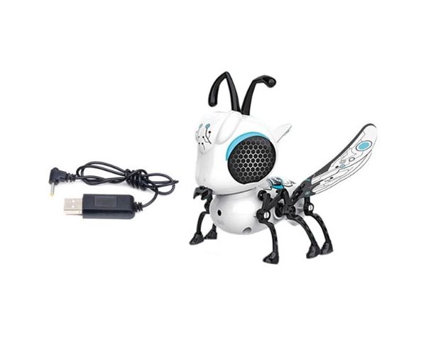 Interaktív roboDongo robot