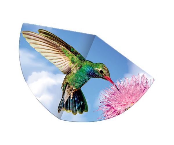 Kolibri sárkányrepülő