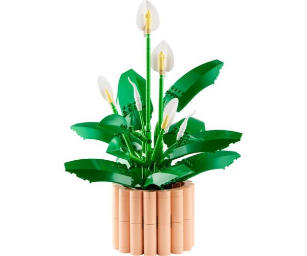 LEGO® Botanicals: Vitorlavirág (11504)