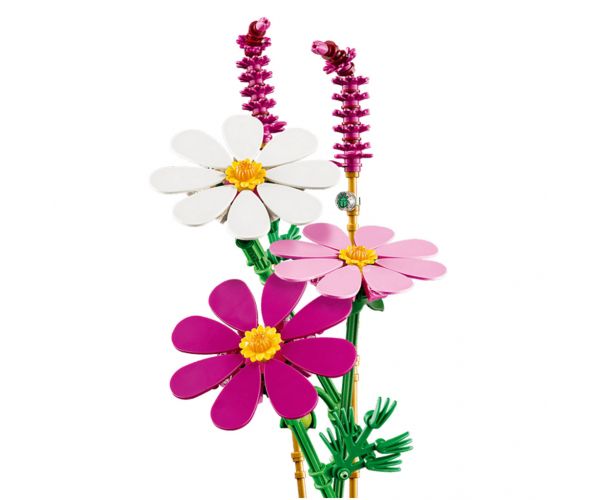 LEGO® Botanicals: Pillangóvirágok (11514)