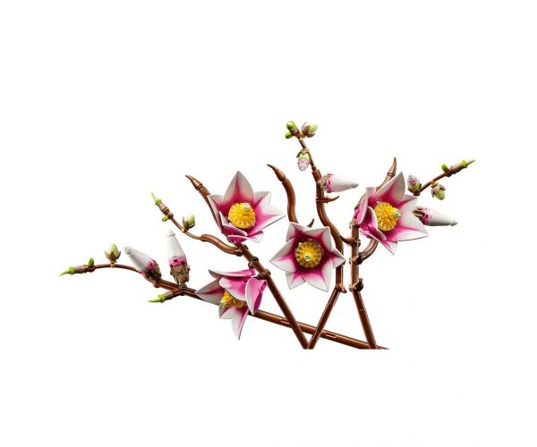 LEGO® Botanicals: Magnóliaágak (11510)