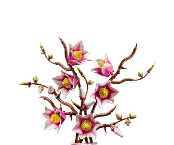 LEGO® Botanicals: Magnóliaágak (11510)