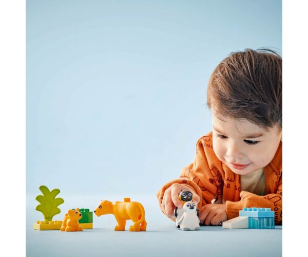 LEGO® DUPLO®: Állatcsaládok a vadvilágban: Pingvinek és oroszlánok (10442)