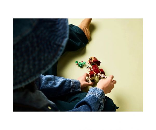 LEGO® Jurassic World: Dolores, a bébi dinoszaurusz: Aquilops (76970)