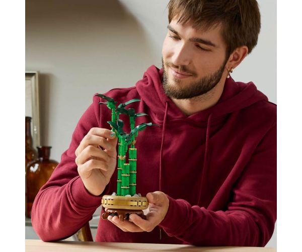 LEGO®: Lego Szerencsebambusz (10344)