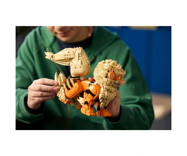 LEGO® Pokémon: Arcanine (72160)