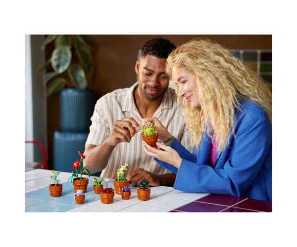 Lego® Icons: Apró cserepes növények (10329)