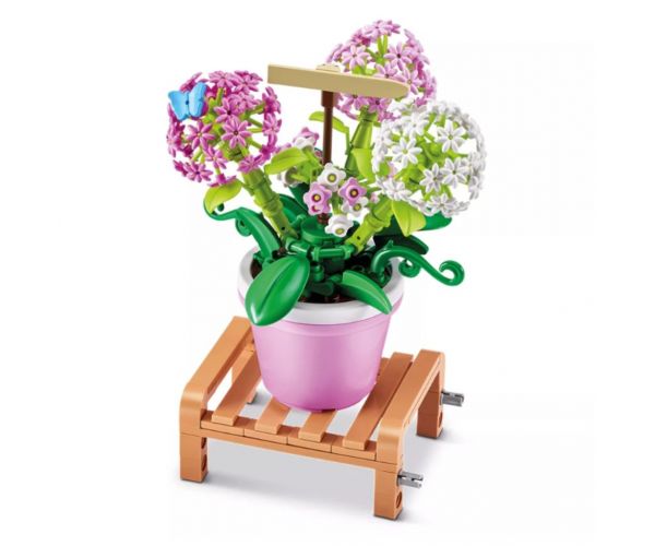 MAX Prémium cserepes növény 1. sorozat több változatban