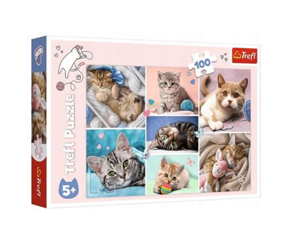 Macskák 100db-os puzzle - Trefl