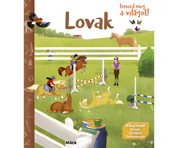 Móra: Ismerd meg a világot! - Lovak ismeretterjesztő könyv