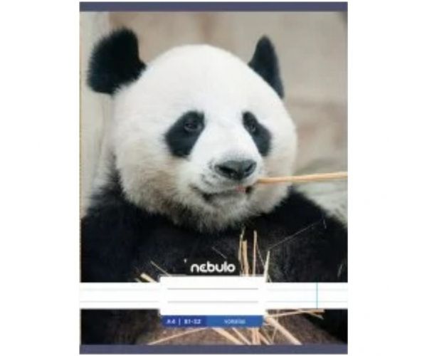 Nebulo: Panda sima füzet A4 80-32