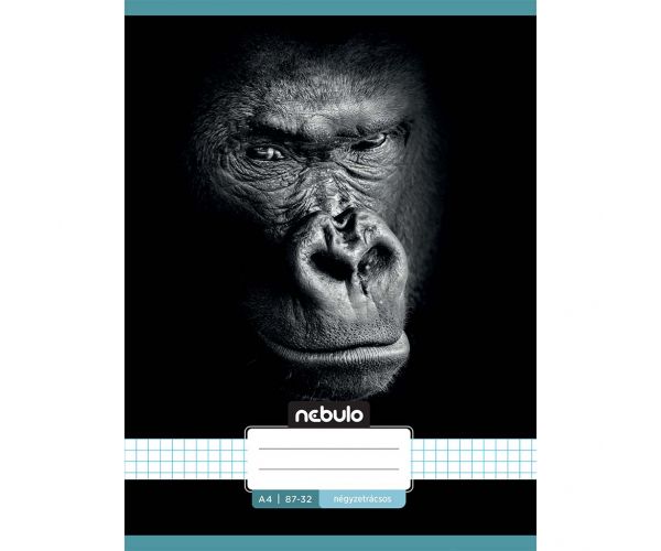 Nebulo: Tűzött kockás füzet gorilla mintás 87-32 A/4