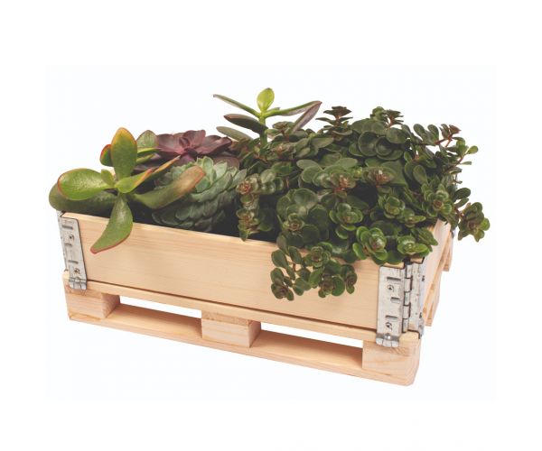 PlayBox: Raklap láda fából 18x28x8,65cm