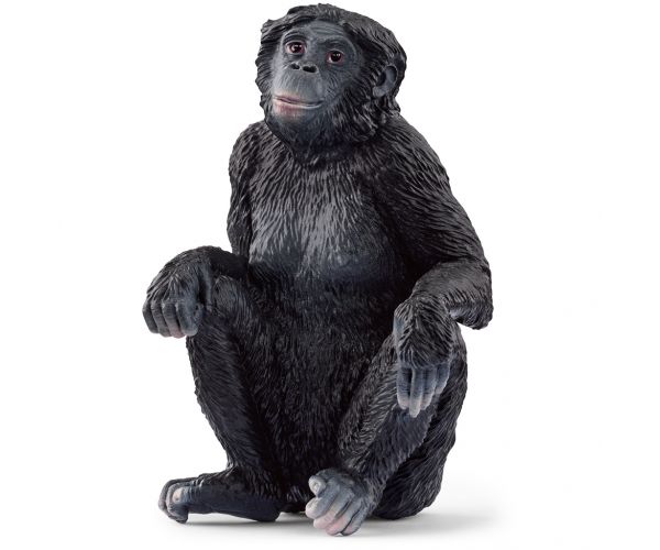 Schleich: Bonobo nőstény figura (14875)