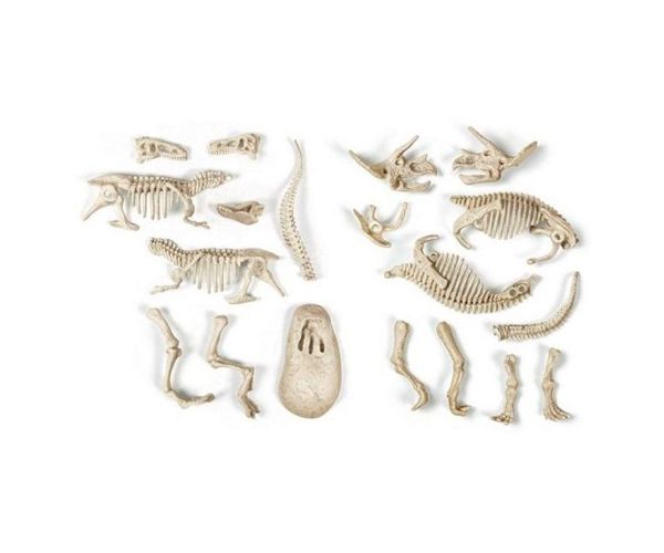 Science&Play: Archeofun Világító T-rex és Triceratops régész szett - Clementoni