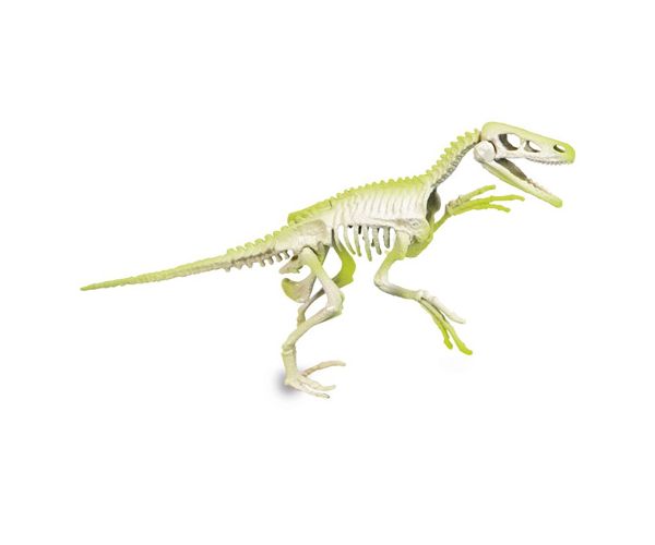 Science&Play: Archeofun Világító Velociraptor régész szett - Clementoni