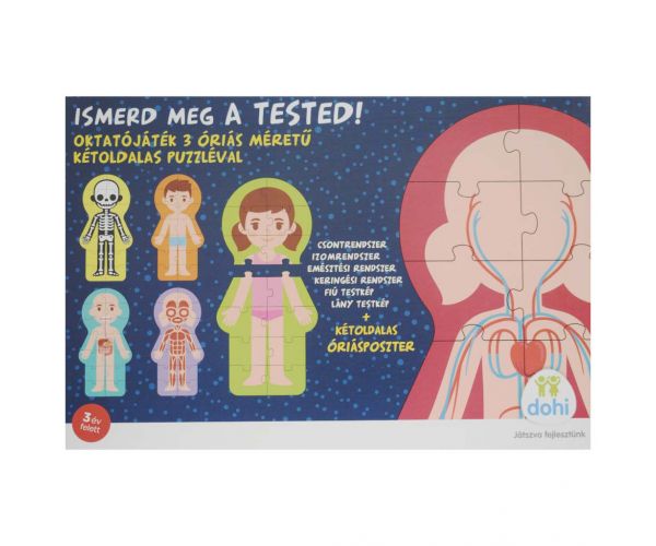 Ismerd meg a tested oktatójáték - D-Toys