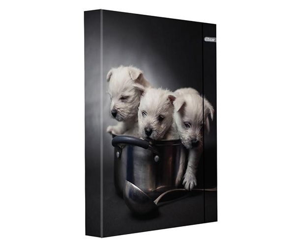 Spirit: Kiskutyusok füzetbox gumipánttal A/4-es méretben