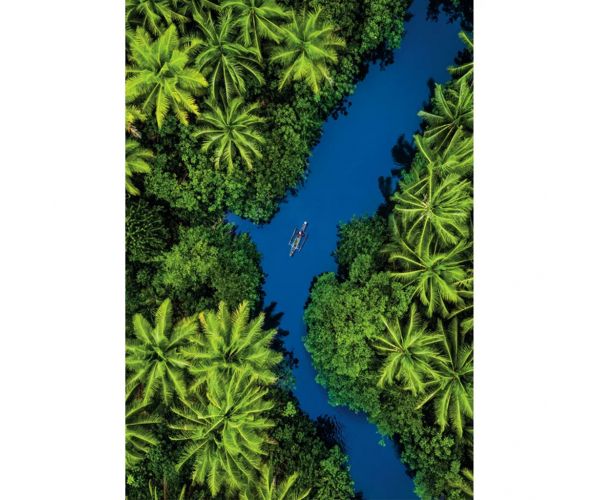 Trópusi kaland 500db-os HQC kompakt puzzle - Clementoni