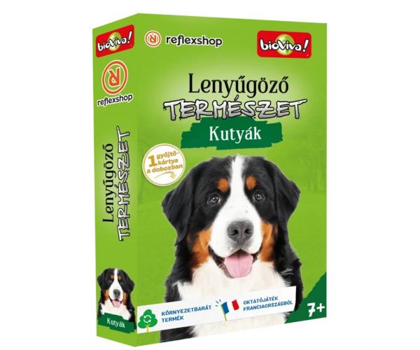 Lenyűgöző természet - Kutyák kártyajáték